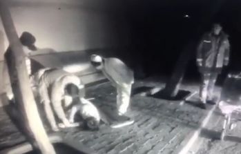 第355页