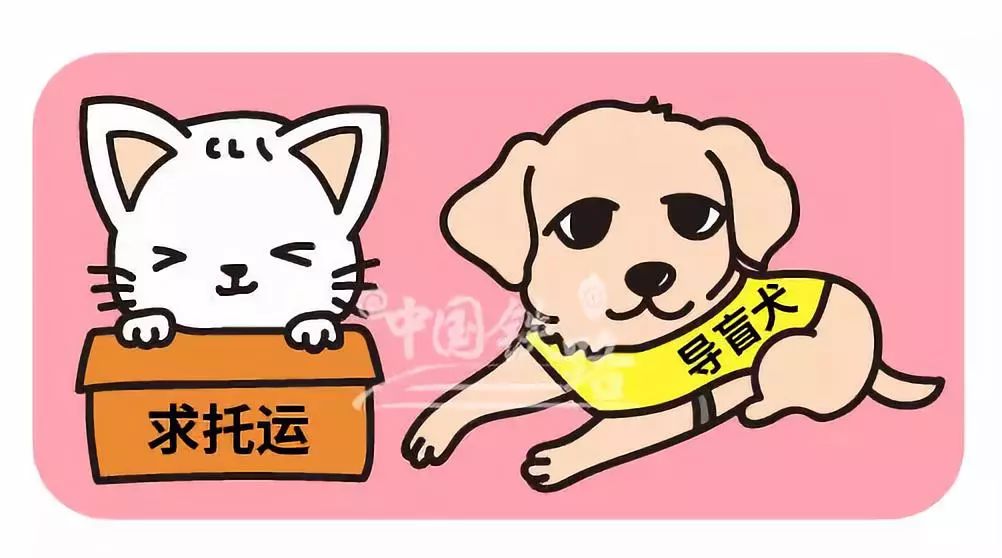 最新资讯 第45页
