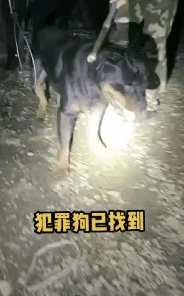 娱乐生活 第40页