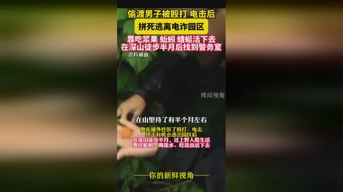 逃出电诈园吃蚯蚓逃出电诈园，生存之旅中的蚯蚓故事